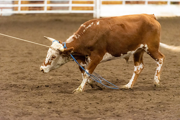BYU-I Rodeo - Oct 2021