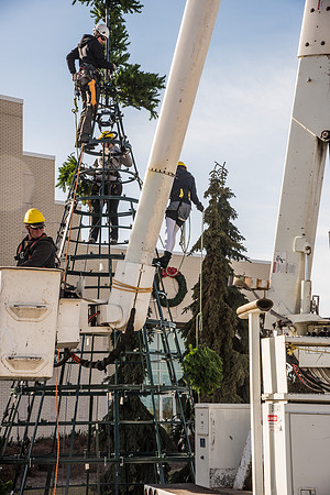 The BYU-Idaho ground keeping crew set up a christmas tree in front of the Taylor chapel. Fall Semester.