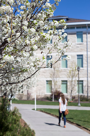 Spring semester 2015 begins with sunshine and blossoms. Students come back to school and look forward to summer in Rexburg. Photo by Erik Hill.