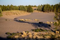 Saint Anthony Dunes - Aug 2025