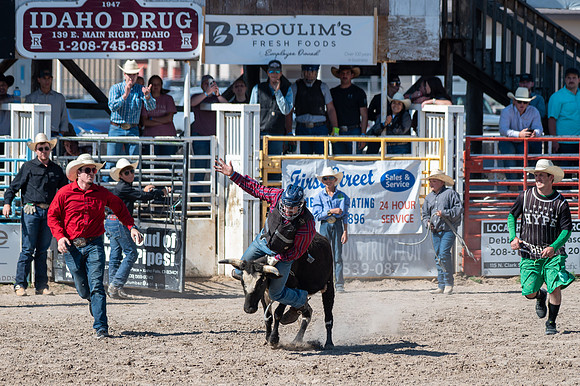 Spring Fest Rodeo - May 2025