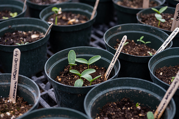 Plant Science Classroom
