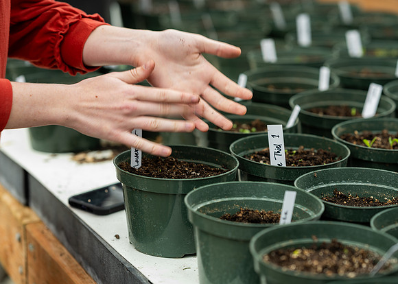 Plant Science Classroom