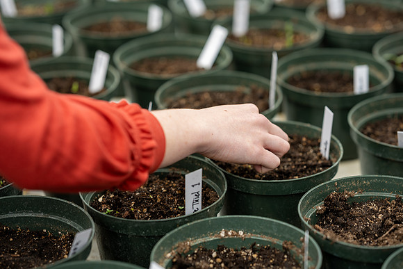 Plant Science Classroom