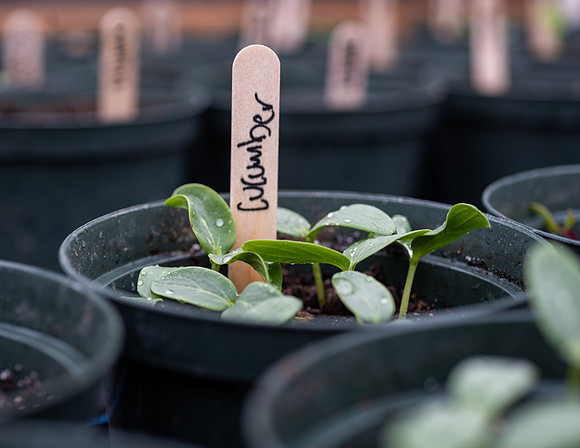 Plant Science Classroom