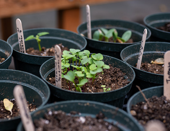 Plant Science Classroom