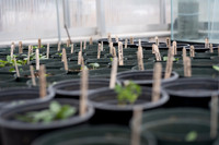 Plant Science Classroom