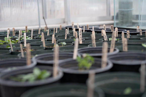 Plant Science Classroom