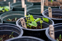 Plant Science Classroom