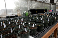 Plant Science Classroom