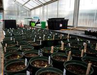 Plant Science Classroom