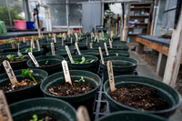 Plant Science Classroom
