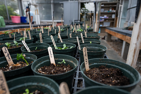 Plant Science Classroom