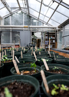 Plant Science Classroom