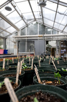 Plant Science Classroom