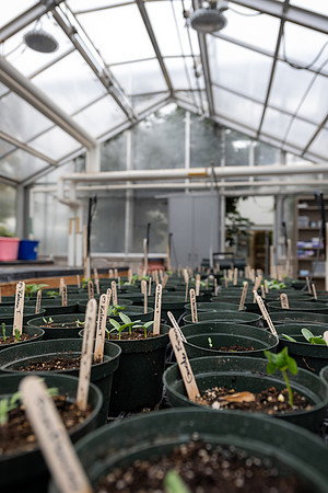 Plant Science Classroom