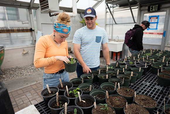Plant Science Classroom