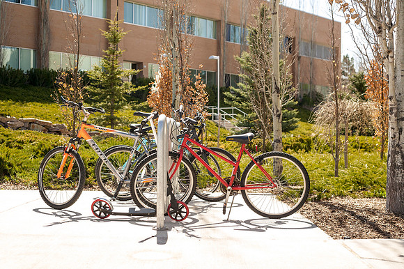 Bicycles parked outside the Taylor Building.