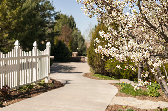 A lady bug flies towards a blooming tree in the gardens.