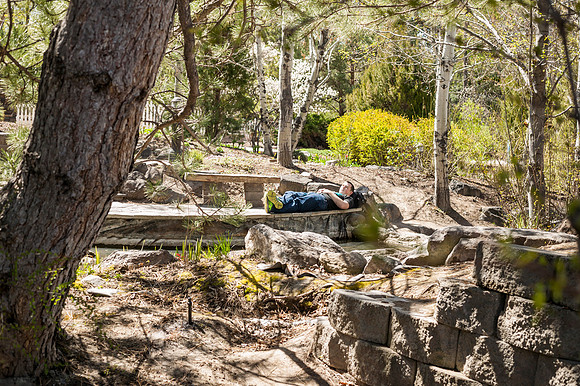 A student takes a nap in the gardens on the first day of the Spring Semester.