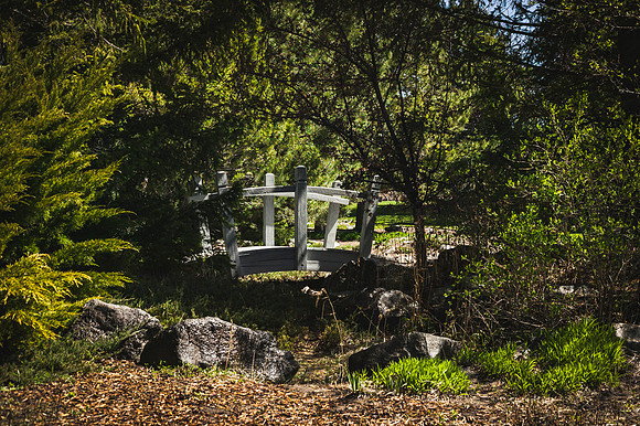 A bridge shines brightly as the glistening sun beams down upon it in the gardens.