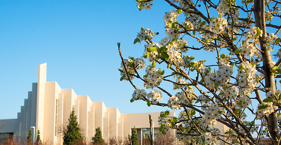 Spring flowers blossom the first week of Spring Semester