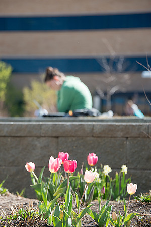 Students on campus during the first week of Spring Semester.