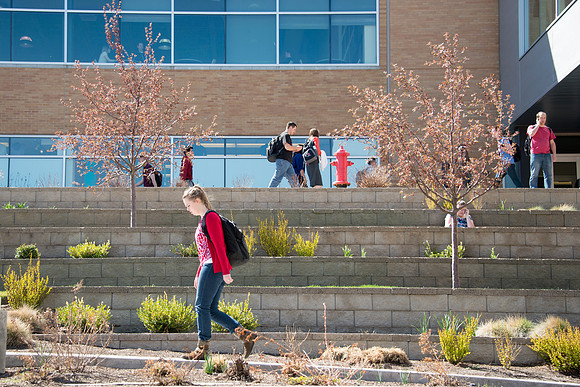Students on campus during the first week of Spring Semester.