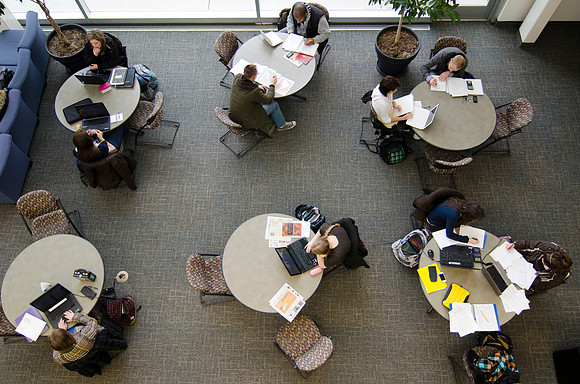 Ricks Study Area