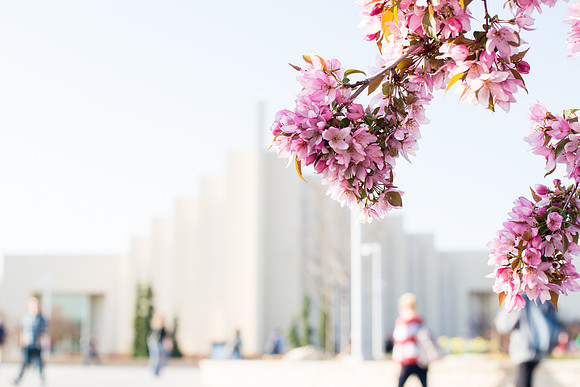 Students on campus during the first week of Spring Semester.