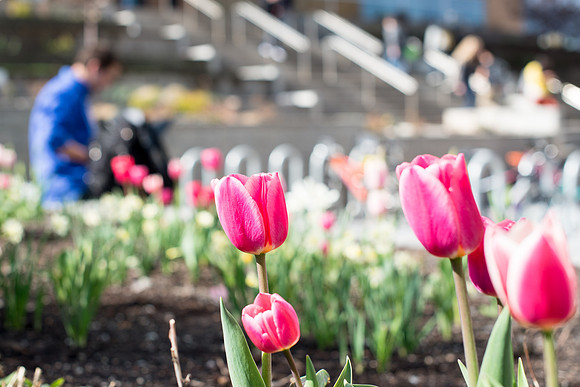 Students on campus during the first week of Spring Semester.