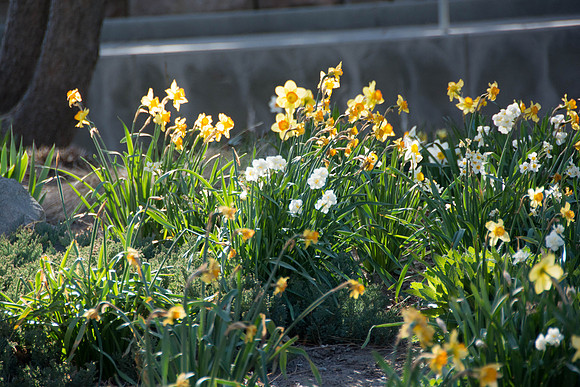 The first day of school for the Spring 2015 semester.