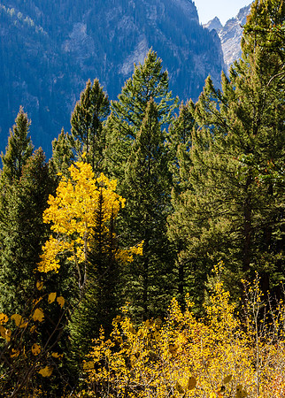 Hike to Taggart Lake in the Tetons.