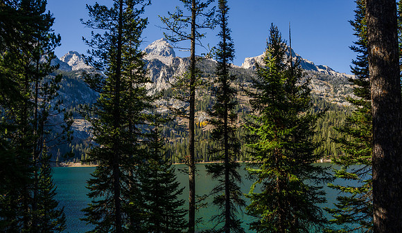 Hike to Taggart Lake in the Tetons.