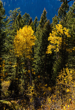 Hike to Taggart Lake in the Tetons.