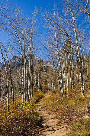 Hike to Taggart Lake in the Tetons.