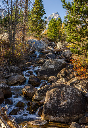 Hike to Taggart Lake in the Tetons.
