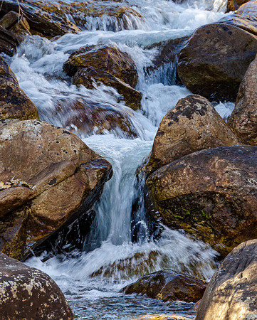 Hike to Taggart Lake in the Tetons.