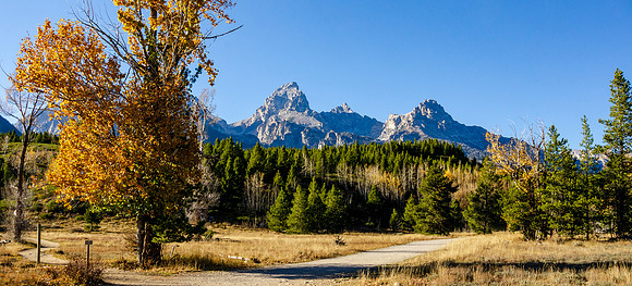 Hike to Taggart Lake in the Tetons.