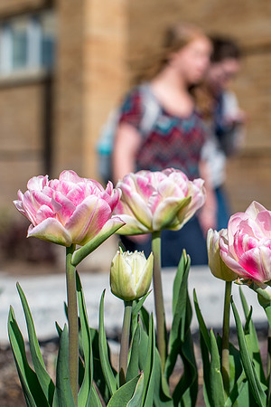 Students on campus during the first week of Spring Semester.