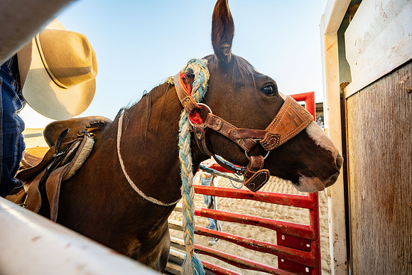 Fall Spirit Week Rodeo - Oct 2025