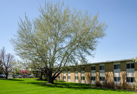 BYU-Idaho campus Women's Dorm in the spring time.