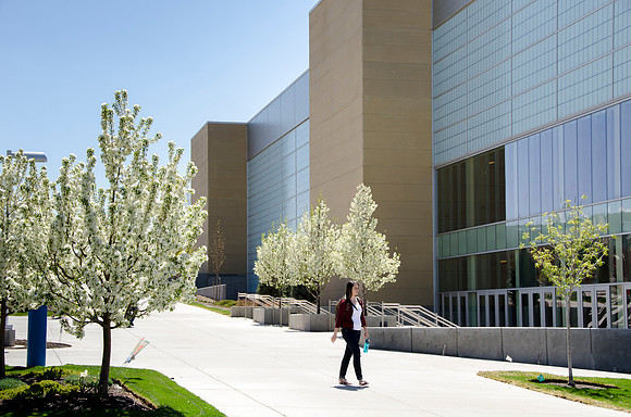 Trees blossoming on the East side of the BYU-I Center.