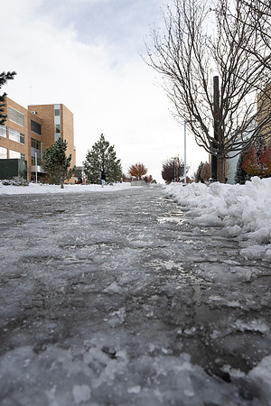 Campus Snow - Nov 2024