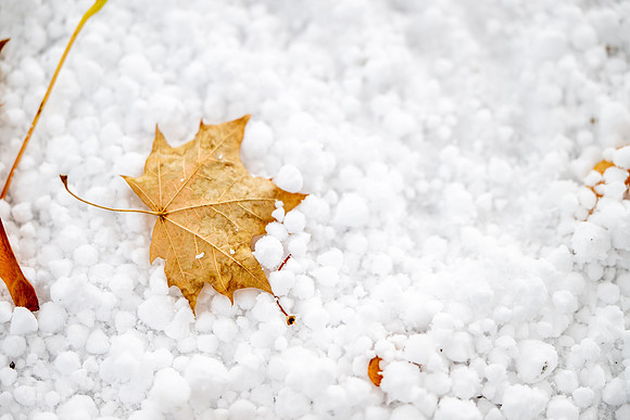 Falls First Snow - Oct 2025