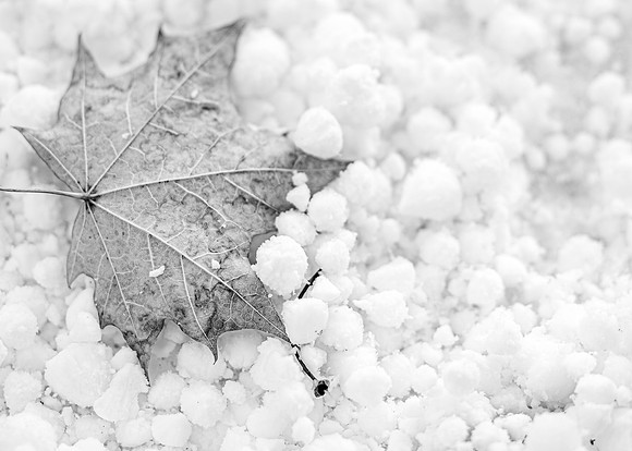 Falls First Snow - Oct 2025