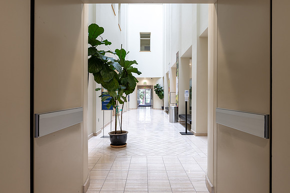 Spori Building - Aug 2025