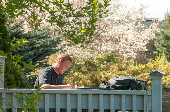 A student finds a quiet place to study in the garden.