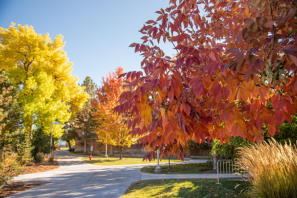 Fall Around Campus - October 2022