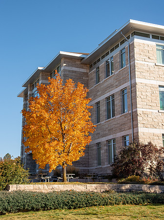 Fall Around Campus - October 2022